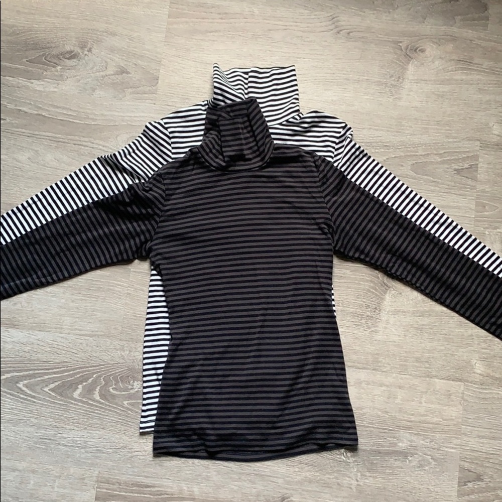 Anne Taylor LOFT Cropped Turtle Neck Set